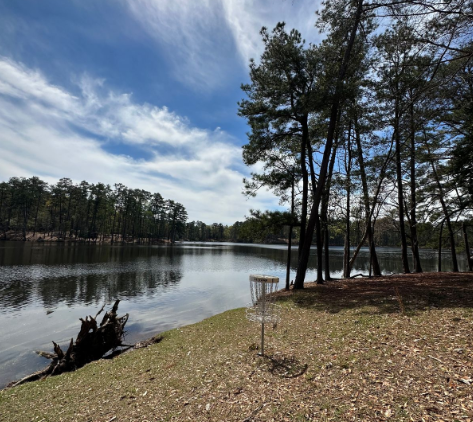 Exploring Clarkco State Park: A Hidden Gem Near Meridian