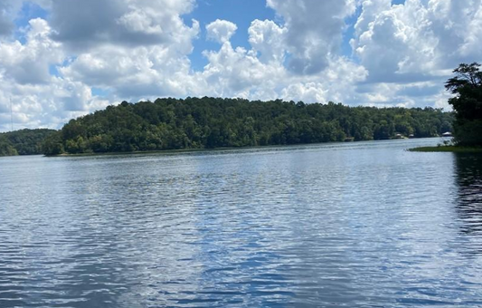 Fishing at Lake Tuscaloosa: A Fisherman's Guide to Alabama's Scenic Gem