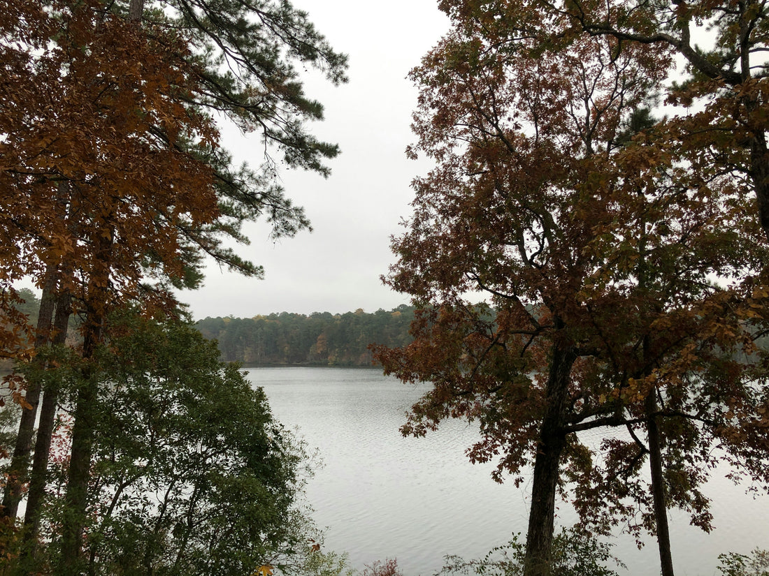 Kayaking at Bonita Lakes: A Hidden Gem in Meridian, Mississippi