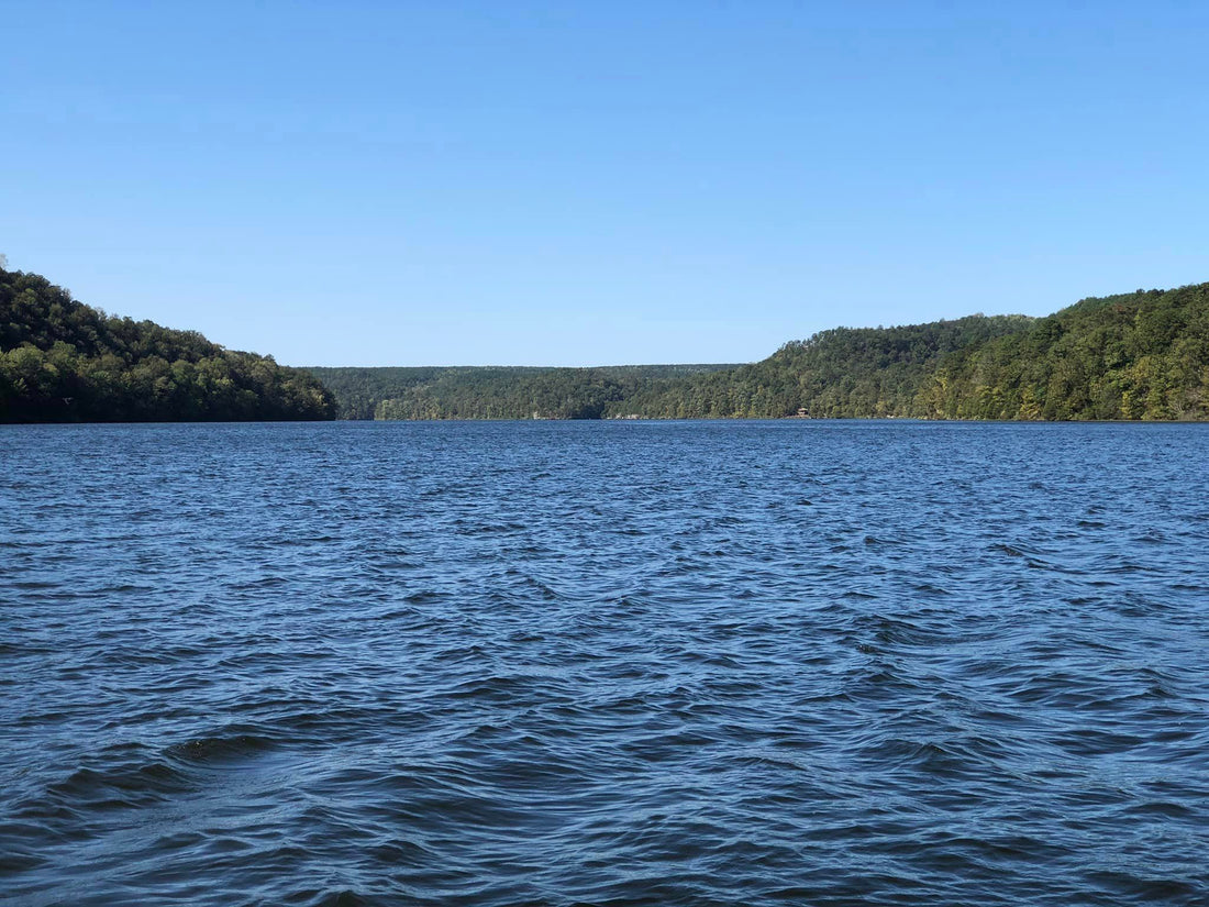 Bass Fishing on Holt Lake: A Hidden Gem on the Black Warrior River